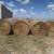 Round bale hay 1 thumbnail