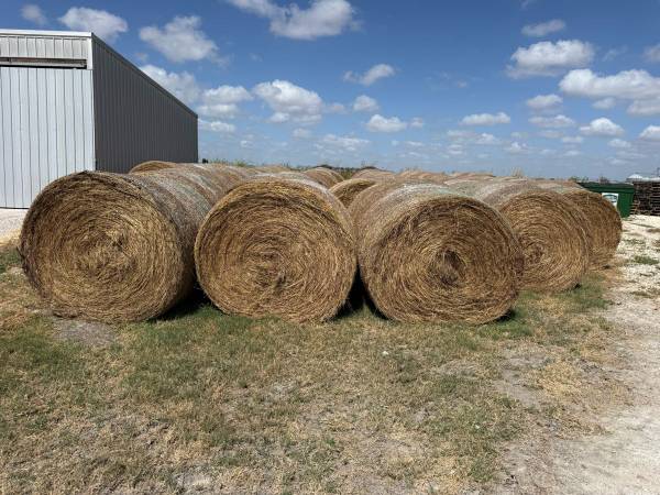 Round bale hay 1
