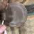 Horse Tack 23 thumbnail