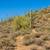 Incredible Cave Creek Parcel on 9+ Acres! 8 thumbnail