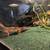 Mating pair leopard geckos( price drop) 1 thumbnail