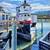 Alex Nizovsky - Pirate Houseboat - Modern Landscape Painting - 30"x40" 1 thumbnail