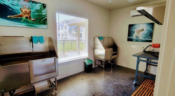 $1,518 / 1br - 729ft2 - Chic Living with Elegant Finishes at 5 Points Apartments! W/D & AC Inc (Fircrest)63867270254595121