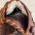 Nokona Baseball Glove W-1200 12" Closed Web Infield/Outfield 9 thumbnail
