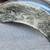 Harley-Davidson motorcycle parts 4 thumbnail