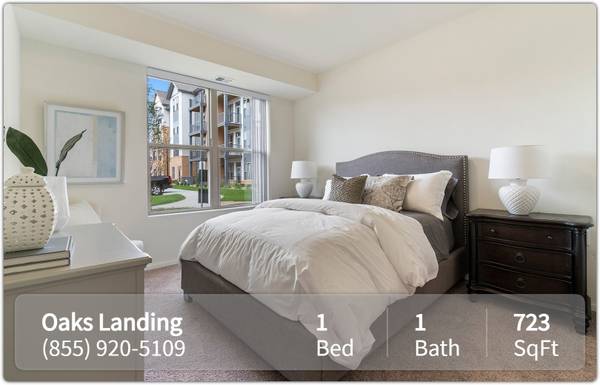 $1,395 / 1br - 723ft2 - We have the perfect 1 bed 1 bath for you and your pets! Tour today! (New Brighton)64003959043713121