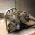 ANTIQUE CHAIN SAWS 5 thumbnail