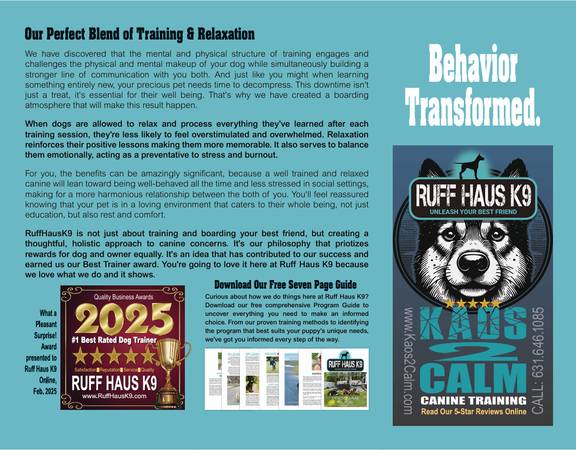 BEST DOG TRAINING ON LONG ISLAND! 1