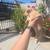 Puppy for sale 5 thumbnail