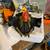 Turkey Hunter Salt & Pepper shaker holder-new in box-Gobble! 5 thumbnail