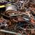 Offering Free Scrap Metal Removal, Applinaces, Scrap Car Removal 4 thumbnail