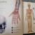 1000 Facts on Human Body 3 thumbnail
