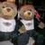 Bear Collectible Harley-Davidson 100 Year Open Road Tour 3 thumbnail