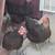 3 black chickens layers 2 thumbnail