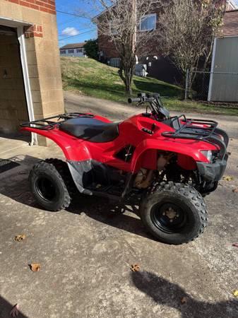 Yamaha Grizzly 300 1