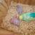 Bird 1 thumbnail