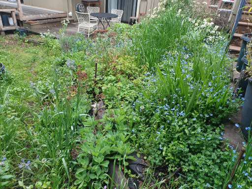 Beautify your backyard with our services 1