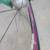 Green Electra Townie 3i Three-Speed Light Weight Aluminum Cruiser 5 thumbnail