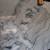 Quartz/Granite countertop 13 thumbnail