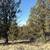 #6 Canvasback Drive ~ 1.88 Acres ~ Trees ~ Excellent Road~ 8 thumbnail