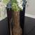 Home decor 4 thumbnail