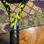 New Babolat Pure Aero 98 4 1/4 current Alcaraz Rune Fils Bublik racket 4 thumbnail