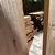 Remodeling~Handyman~ Interior~ Exterior~ Experts~plumbing 5 thumbnail