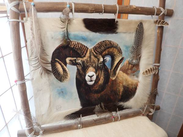 Gray Sheep グレシプ Great Busters ver. COLOR Framed Big Horn Sheep painted on Hide w Feathers/Silver