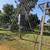 2 Deer Feeders,1 tripod stand 1 thumbnail
