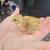 Chicks 2 thumbnail