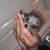 Teacup pomenarian 2 thumbnail