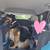 German Shepherd mix 6 thumbnail