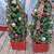 CHRISTMAS TREES 1 thumbnail