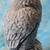 Mt Saint Helens Eagle Crafted From Volcanic Ash 5 1/2" X 3" 2 thumbnail