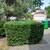 calmoperez landscaping 13 thumbnail