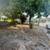 3 bedrooms family home, fenced yard great neighborhood 4 thumbnail