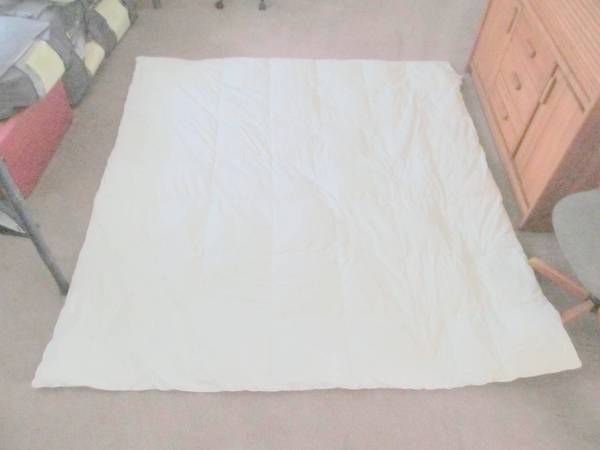 All Natural White Goose Down Comforter With Duvet 1