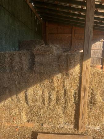 Mulch hay , gardens , lawn seeding not feed quality 1