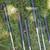 Dunlop Resolve Golf iron set: 4,6,7,8,9,P with Wilson 5 iron 2 thumbnail