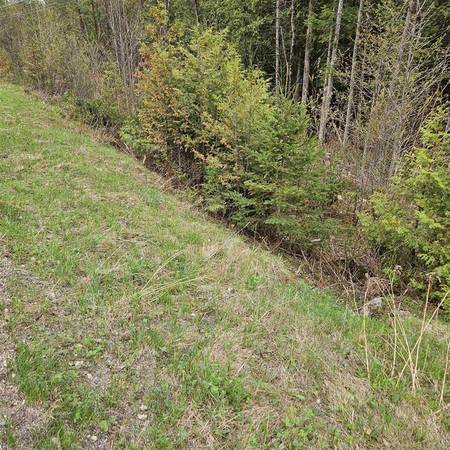 $74,900 36 acres of woods for your recreation needs (Sutton)63992934434307121