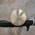 Calcutta 150 bait casting reel 6’ 5” Phenix rod 11 thumbnail
