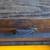 ANTIQUE WOOD & GLASS PLATE FILM HOLDER RISQUE NEGATIVE 17 thumbnail