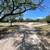 RV SPACES $430/MO—FULL HOOKUPS (Pettus Tx—-quiet location) 3 thumbnail