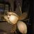 Pair of Lotus Lamps 3 thumbnail