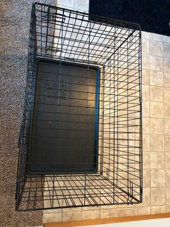 Medium kennel 1