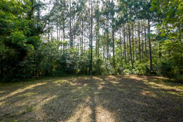 $60,000 / 152460ft2 - 3.3 Acres|Hwy 59 Front| No Restrictions| Commerical| Residential Use (Livingston | Leggett| Polk Couty)63924169612802120