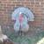 Blue slate tom turkey 1 thumbnail