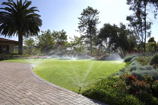 Landscape Installation, Irrigation Repair, Tree Pruning and Hauling 1