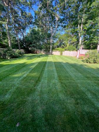 Landscaping Services 1