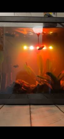 Fish tank with everything included (Burlington)